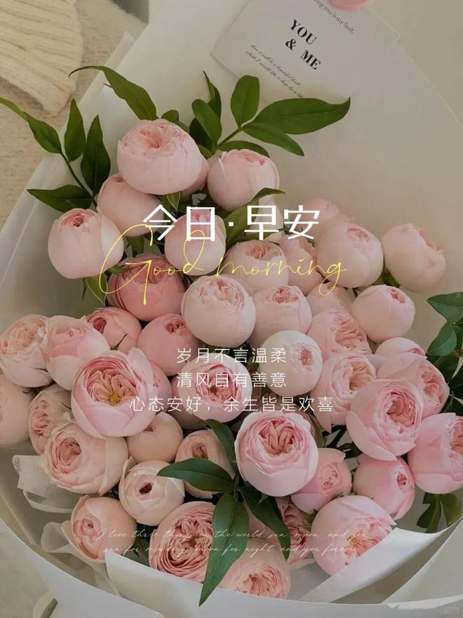 U5FKfDd6az4995F4.jpg