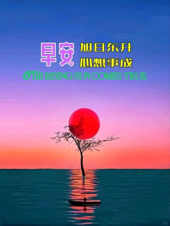 kDe2J36xOf6p6O68.jpg
