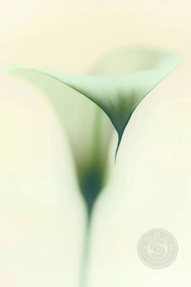 FjSxP364Xb3IB9Zw.jpg