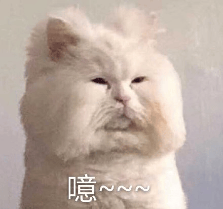 xEU1eTu4wteZ566d.jpg