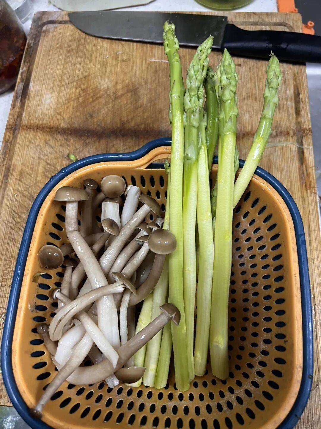 M11QSJHpCa1qEPjp.jpg