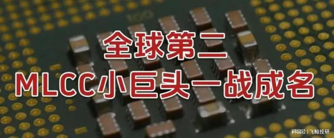 kR2MX2q3369BxD98.jpg