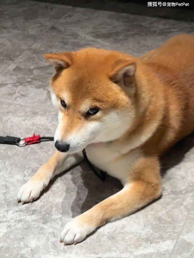 Yyp4Q4EGa44epeET.jpg