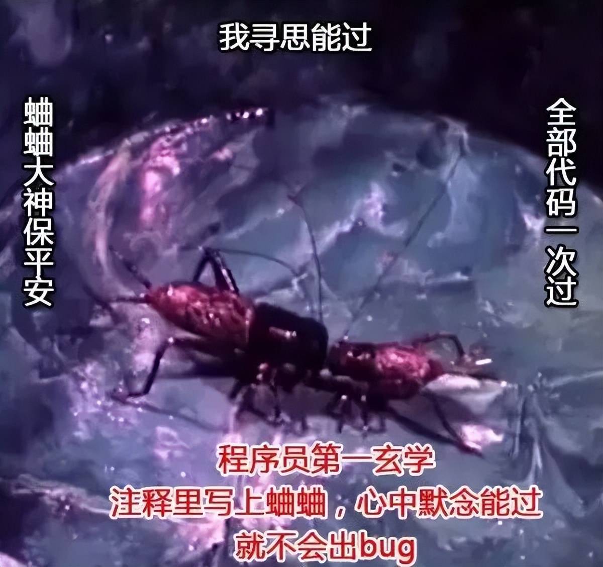 G4DPws3WRI2gR0cF.jpg