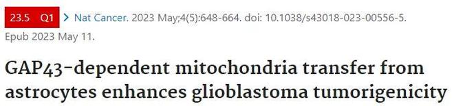 MUZBO13DsDGiCHb2.jpg