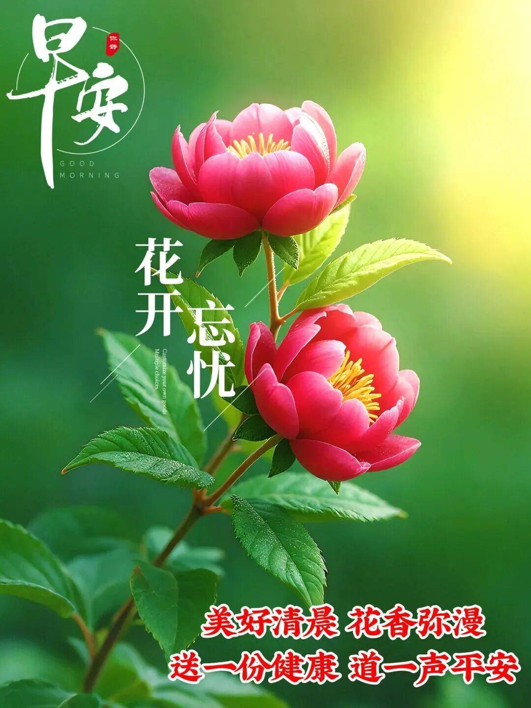 QhB2QbdFh4P5IEj5.jpg