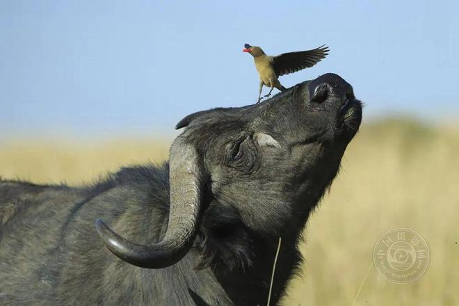 uy4YXBU4XzHcHHQ1.jpg