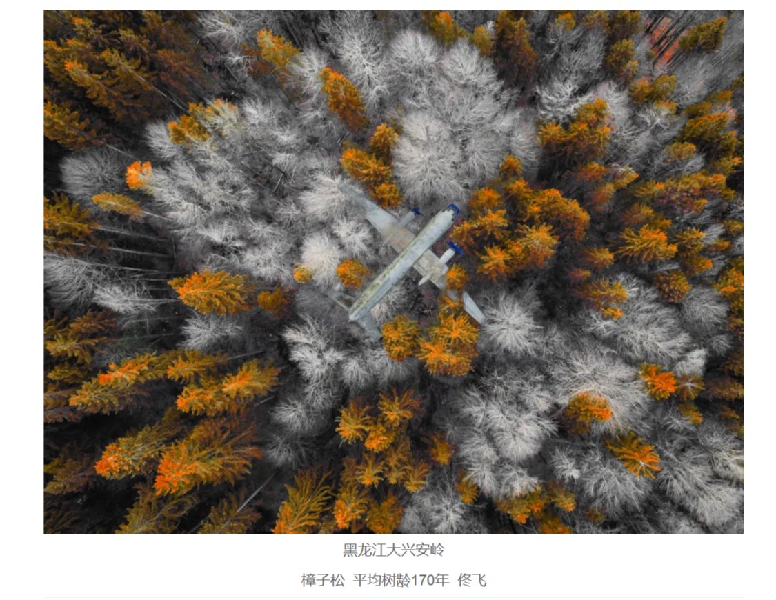 So8dWeoNlApPtrAe.jpg