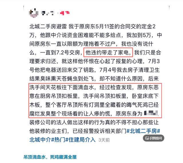 dnJFuNF0353NNn13.jpg