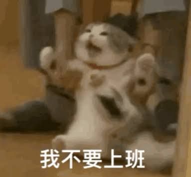 U3AVVSpqxoK1O1kN.jpg