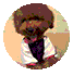 phcCHoOcl5goEtt5.jpg
