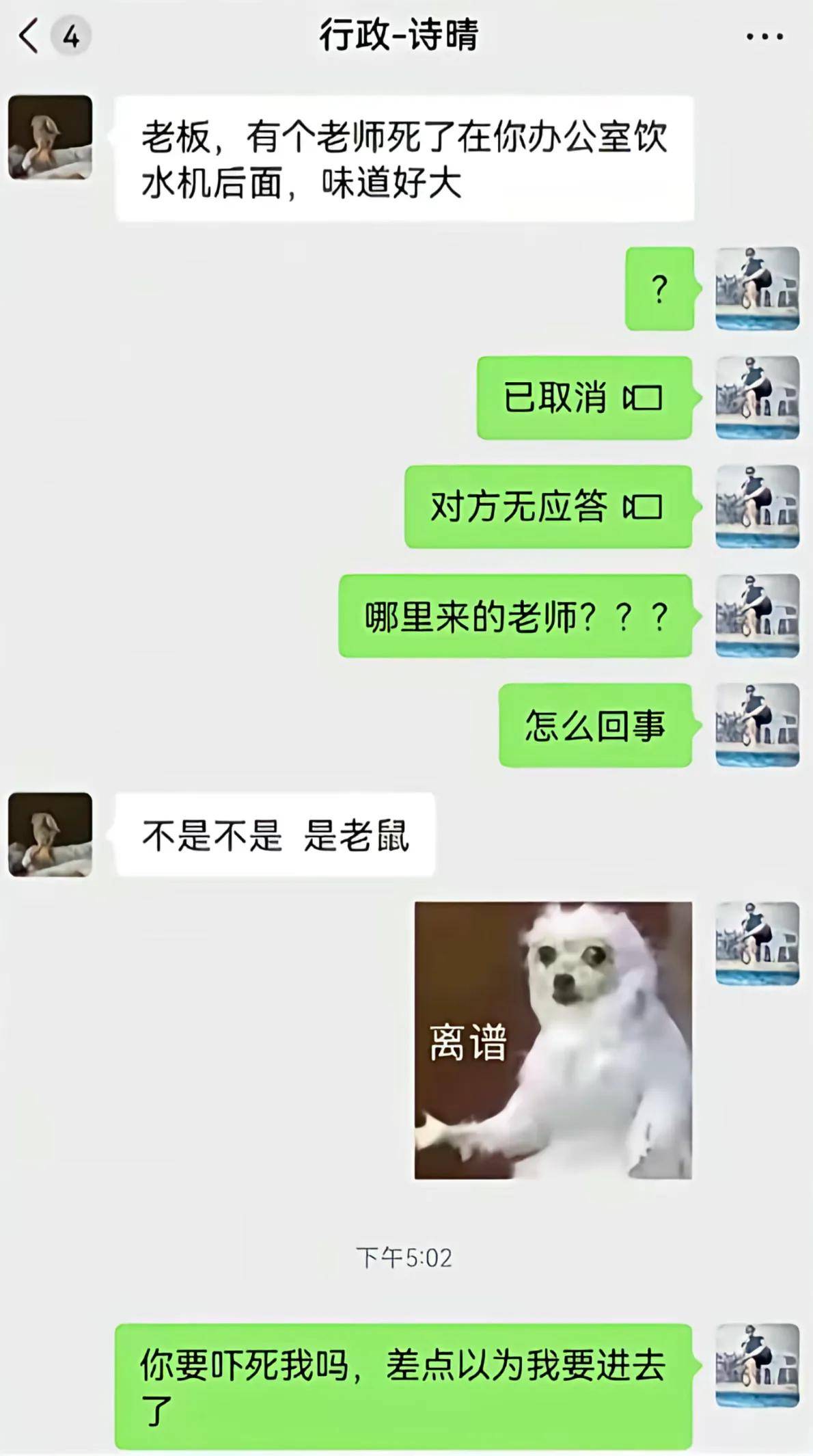 NvJ7zhm5jpBZkl2l.jpg